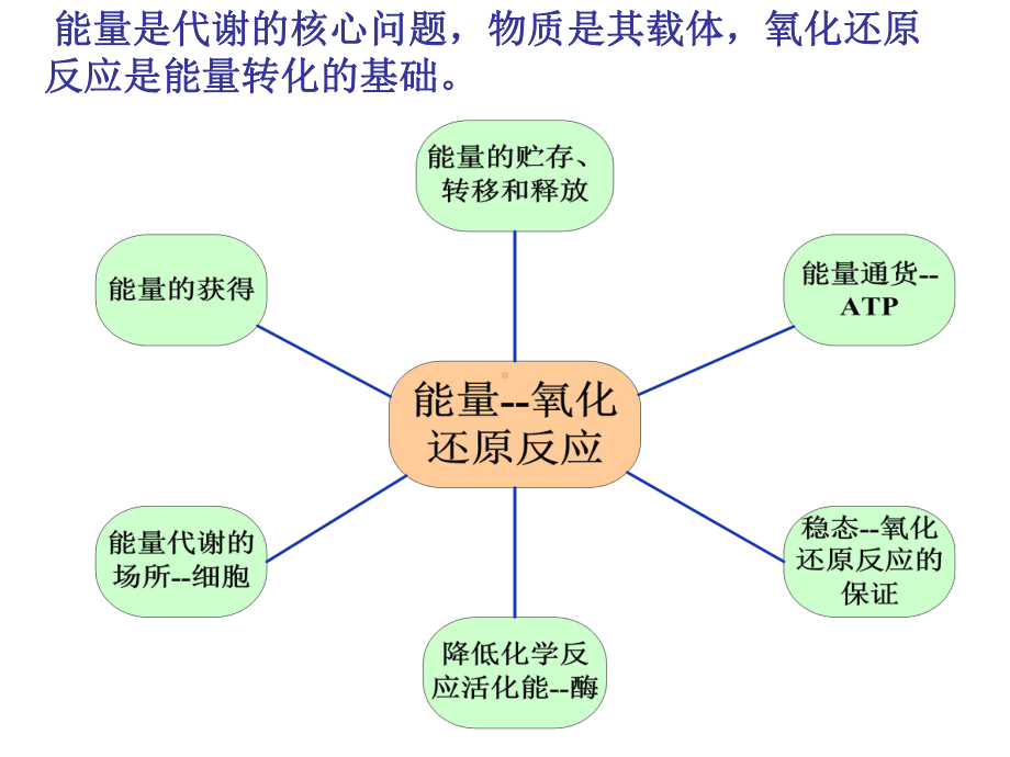 第三章细胞的代谢.ppt_第2页