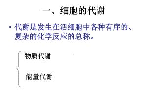 第三章细胞的代谢.ppt