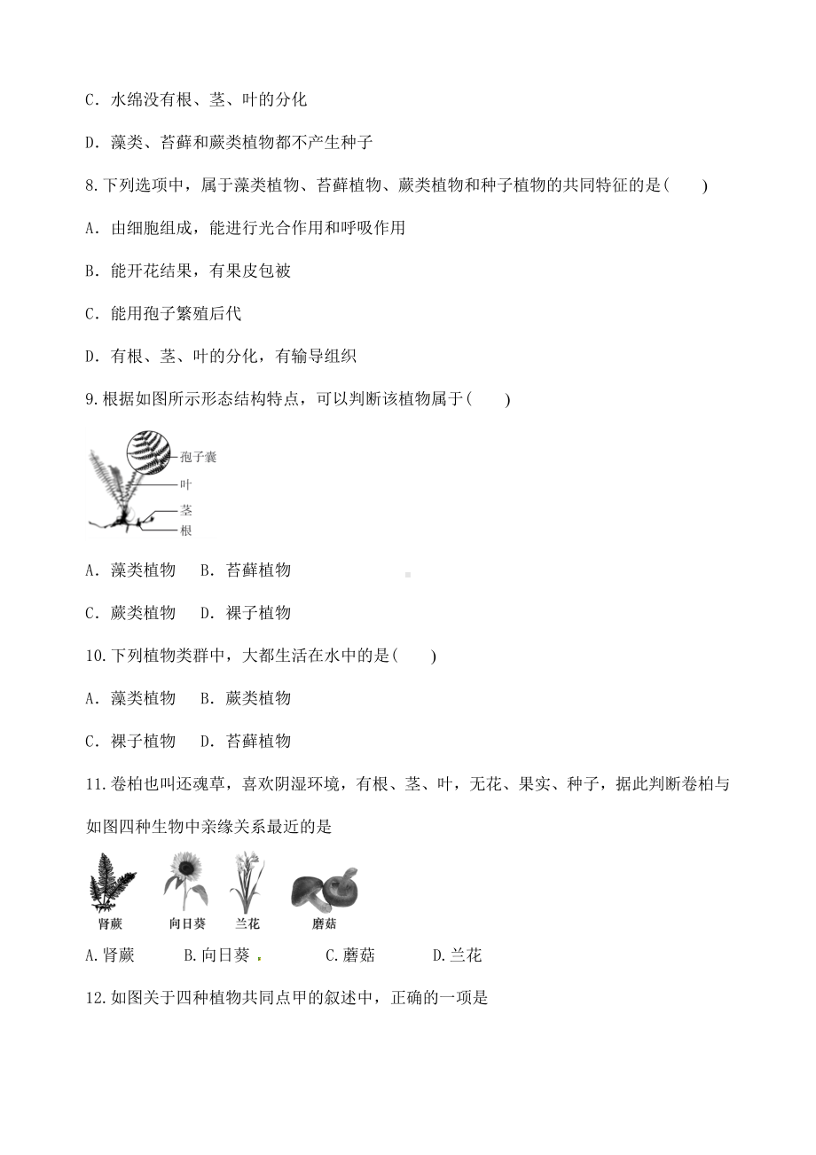 (名师整理)最新生物中考《植物的分类》专题复习考点精练(含答案解析).doc_第2页