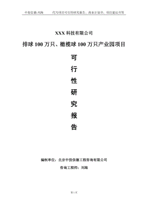 排球100万只、橄榄球100万只产业园项目可行性研究报告写作模板定制代写.doc