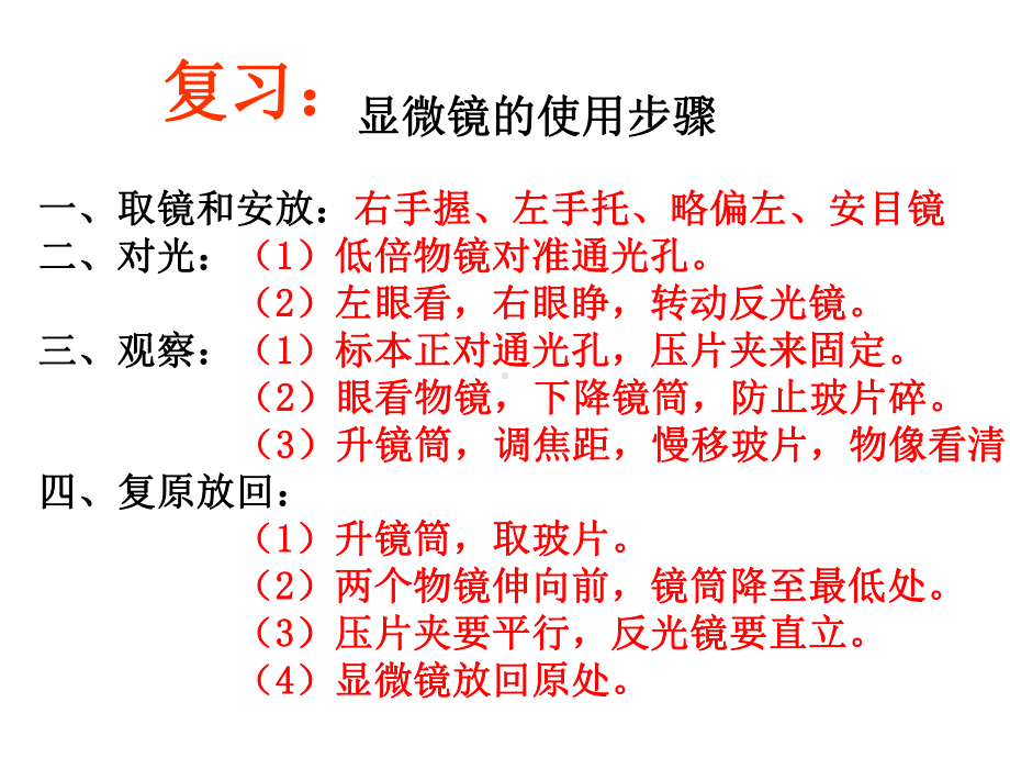 第三节-观察动物细胞.ppt_第1页