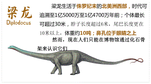 1.3地球的历史第一课时(共23张PPT)ppt课件-2023新人教版（2019）《高中地理》必修第一册.pptx