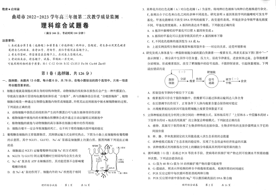 23年第二次市统测理综.pdf_第1页