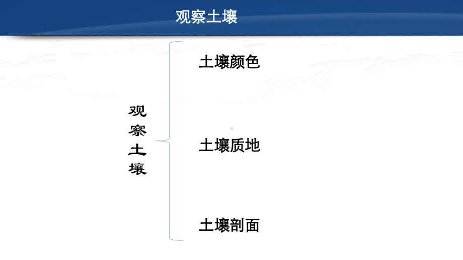 第五章 第二节 土壤(共23张ppt)ppt课件-2023新人教版（2019）《高中地理》必修第一册.pptx_第3页