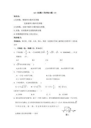 (新人教版)数学七年级下册：《实数》同步练习及解答.doc