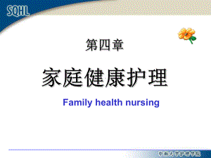 第四章 家庭健康护理2010.ppt