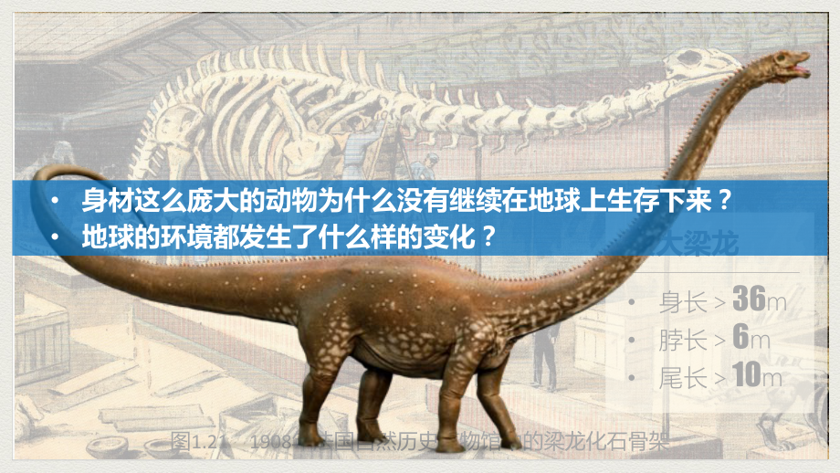 ppt课件：1.3 地球的历史 化石和地质年代表（共24张PPT）-2023新人教版（2019）《高中地理》必修第一册.pptx_第1页