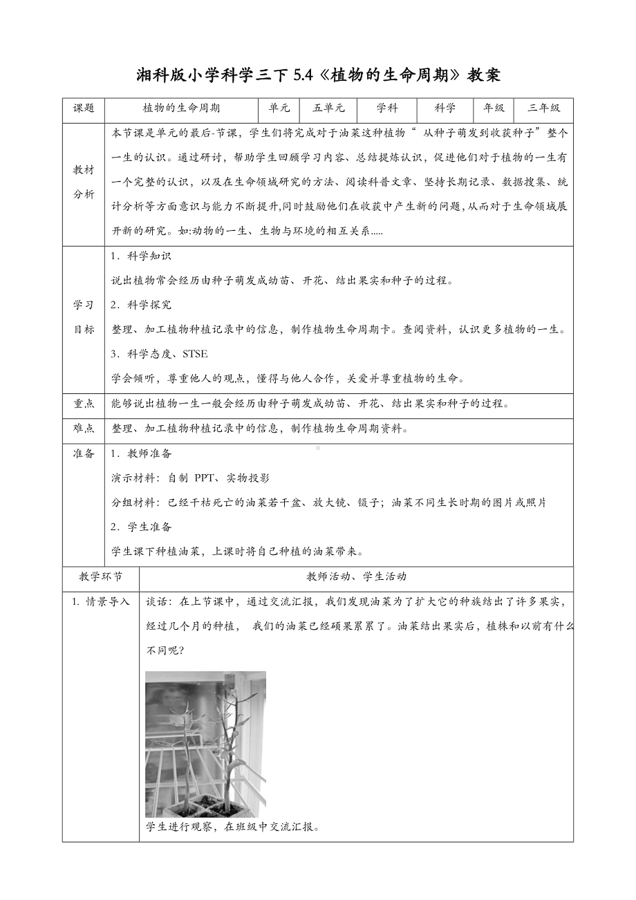 (新教材)湘科版三年级下册科学-5.4植物的生命周期-教案(教学设计).doc_第1页