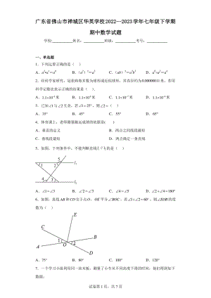 广东省佛山市禅城区华英学校2022-2023学年七年级下学期期中数学试题.pdf