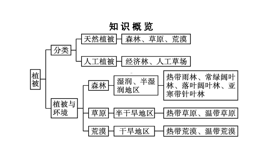 第5章 第1节　植被 ppt课件-2023新人教版（2019）《高中地理》必修第一册.pptx_第3页