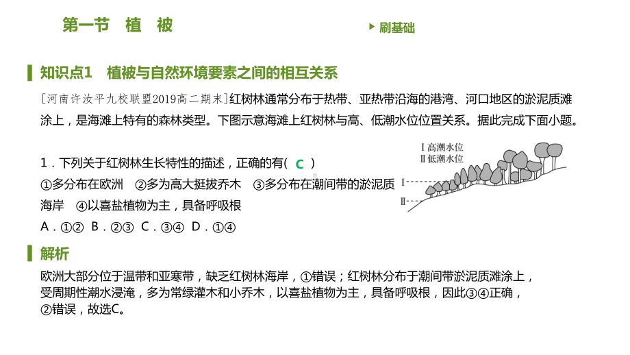 第五章第一节　植被 习题ppt课件-2023新人教版（2019）《高中地理》必修第一册.pptx_第3页