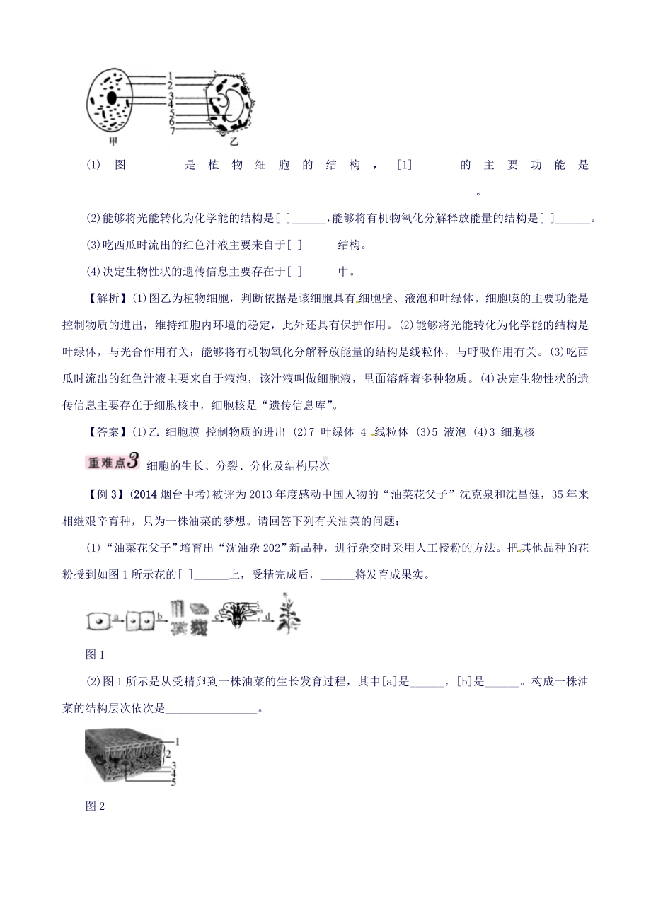 (怀化专版)中考生物专题突破专题二生物体的结构层次.doc_第2页