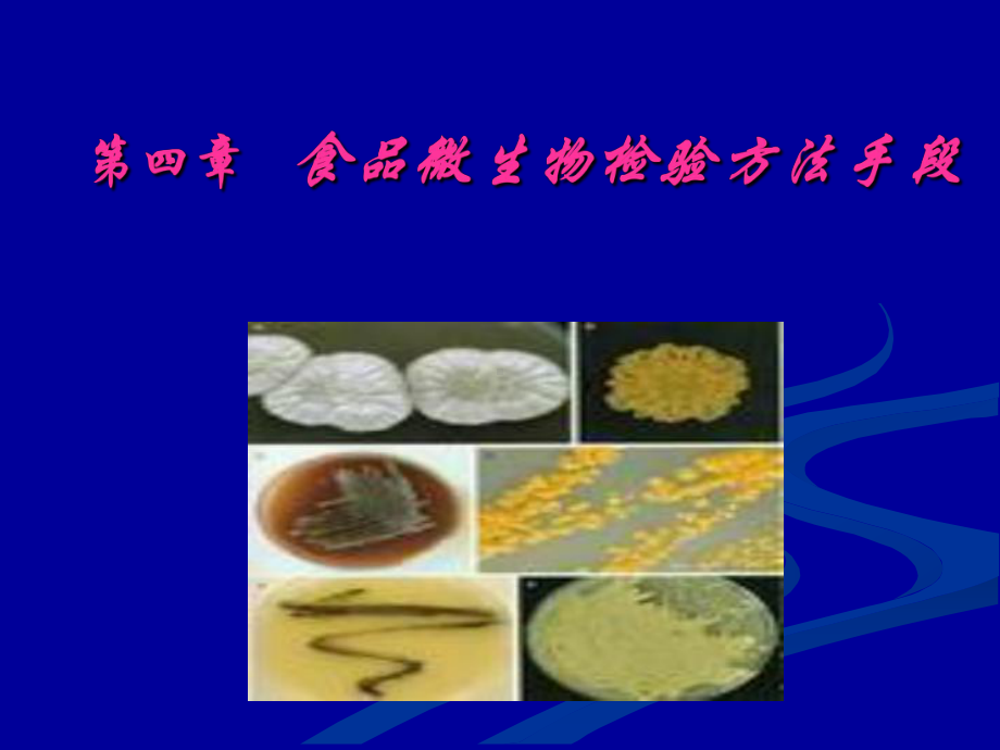 第四章食品微生物检验方法手段.ppt_第1页