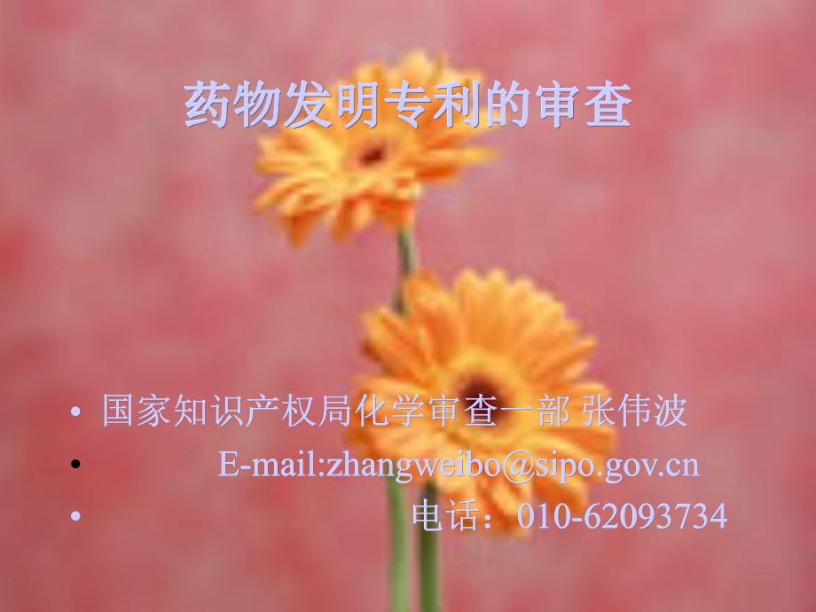 药物发明专利的审查.ppt_第1页