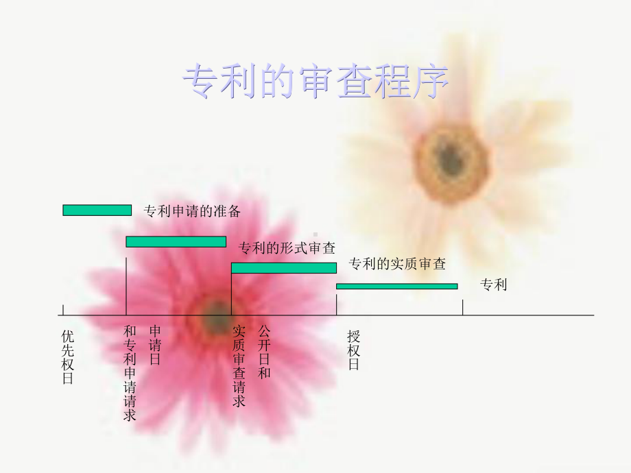 药物发明专利的审查.ppt_第2页