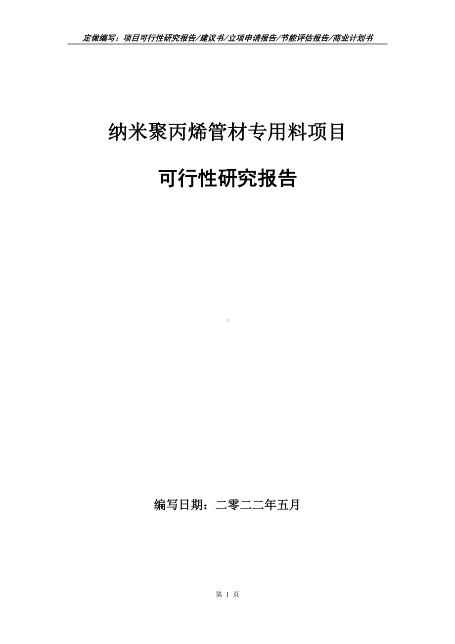 纳米聚丙烯管材专用料项目可行性报告（写作模板）.doc_第1页