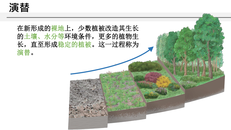 第五章 第一节 植被(共23张ppt)ppt课件-2023新人教版（2019）《高中地理》必修第一册.pptx_第3页