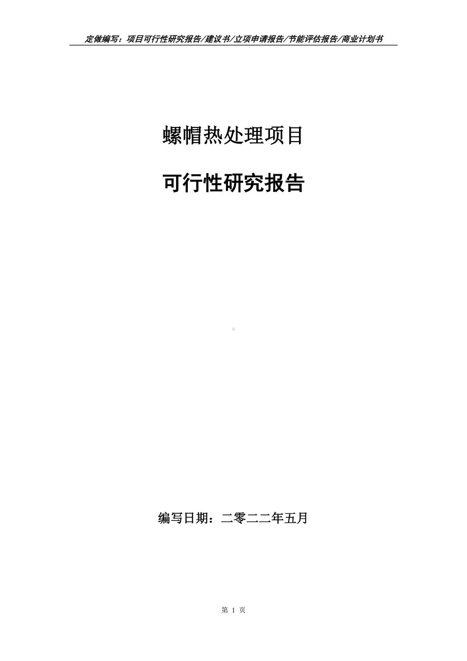 螺帽热处理项目可行性报告（写作模板）.doc_第1页