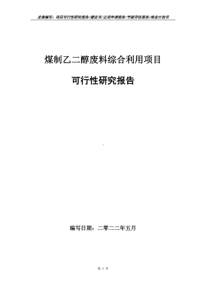 煤制乙二醇废料综合利用项目可行性报告（写作模板）.doc