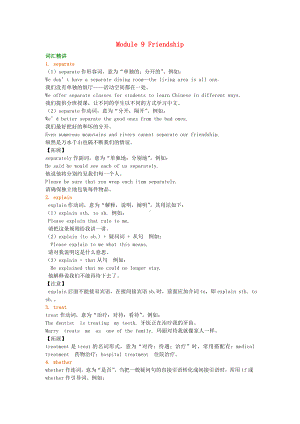 (新人教版)最新八年级英语下册-Module-9-Friendship词句精讲精练(含解析)(新版)外研版（经典练习）.doc