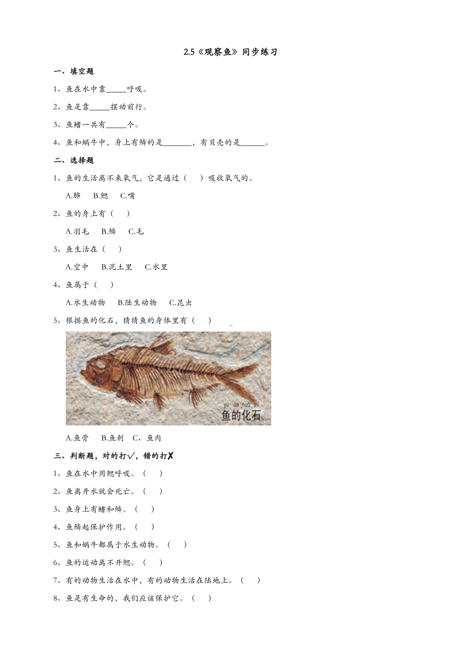 (新教材)教科版一年级下册科学-2.5-观察鱼-课时练(同步练习).doc_第1页