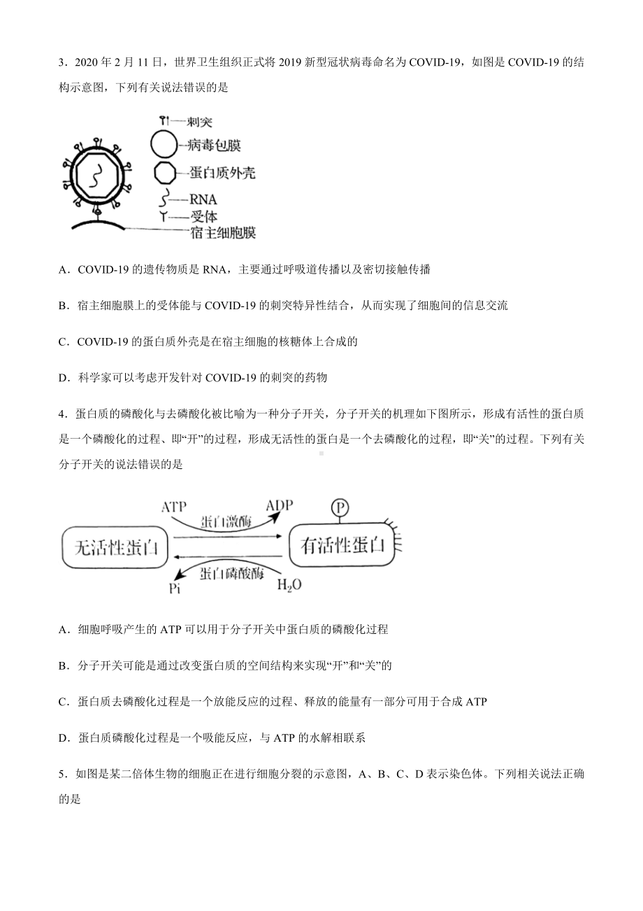 2021届广东省汕头市高三下学期普通高考第一次模拟考试生物试题.docx_第2页