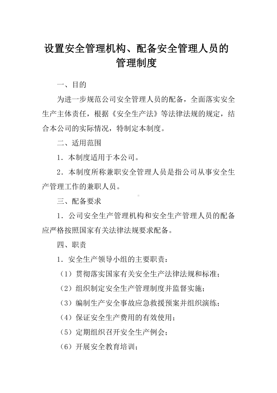 建立设置安全管理机构、配备安全管理人员管理制度参考模板范本.doc_第1页