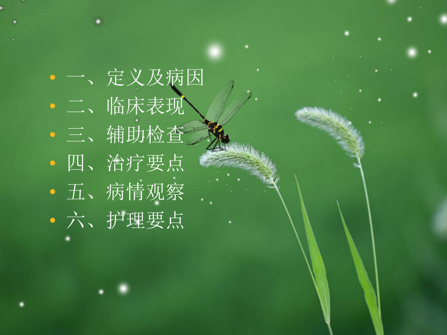 脑出血病人的护理.ppt_第2页