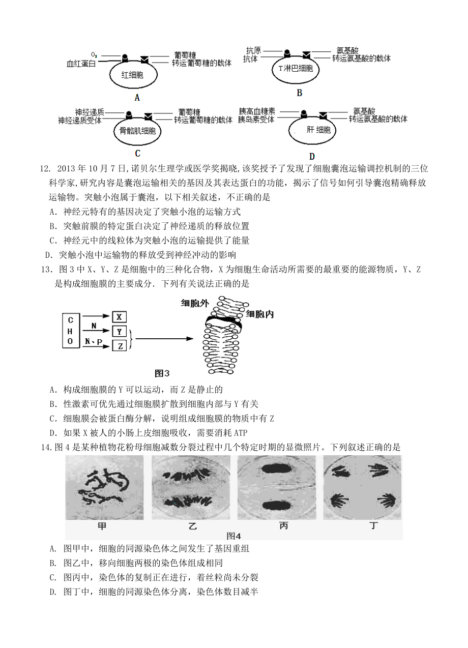 2021-2022年高三3月联考生物试卷.doc_第3页