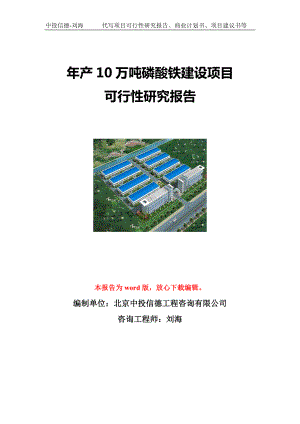 年产10万吨磷酸铁建设项目可行性研究报告写作模板立项备案文件.doc