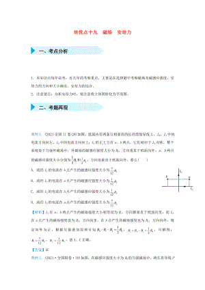 2021届高考物理专题十九磁场安培力精准培优专练.doc