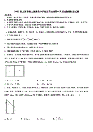 2023届上海市宝山区宝山中学高三实验班第一次质检物理试题试卷.doc