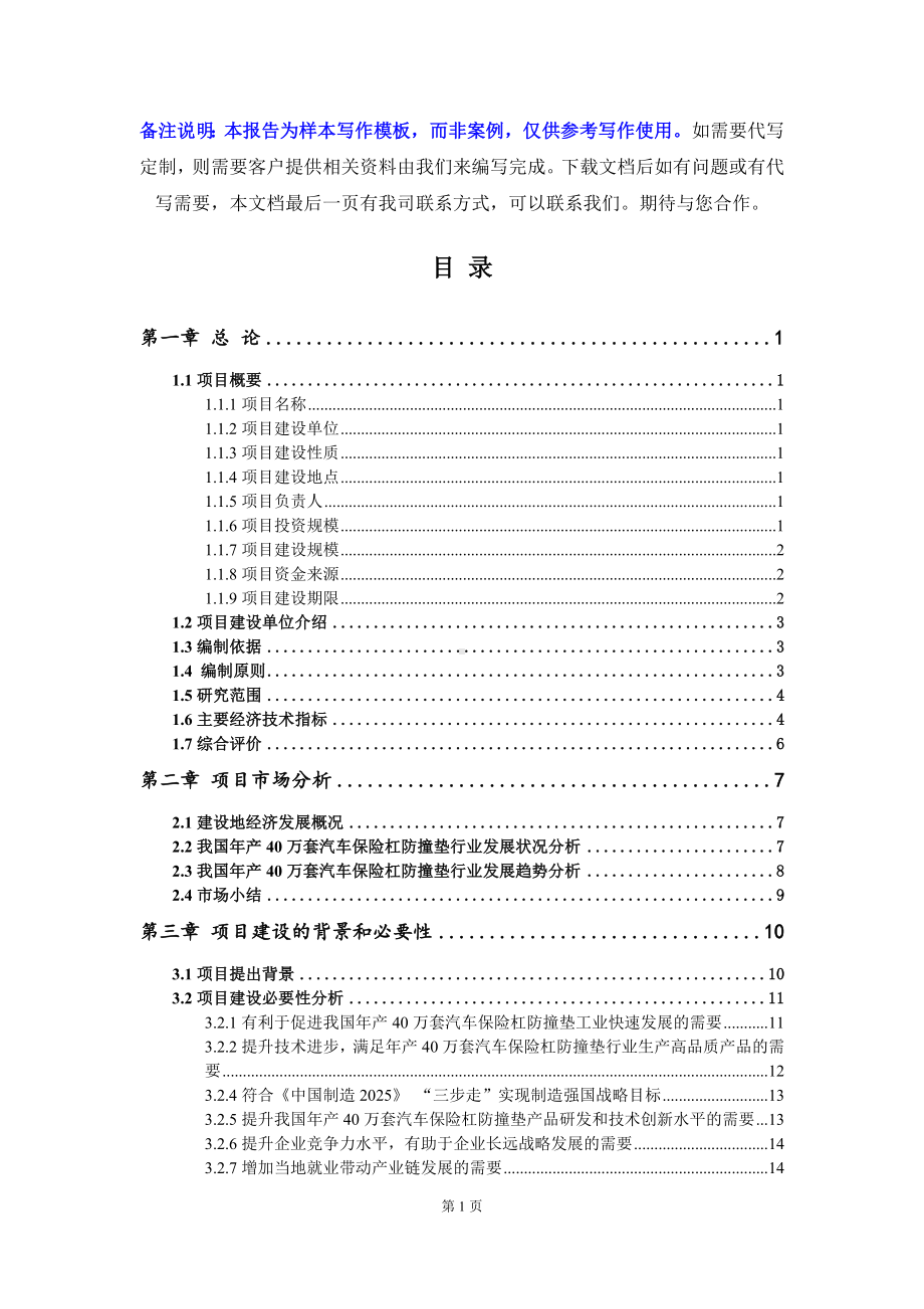 年产40万套汽车保险杠防撞垫项目可行性研究报告写作模板立项备案文件.doc_第2页