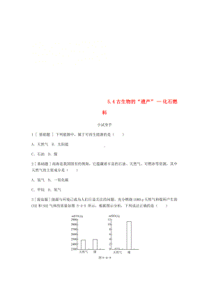 -古生物的“遗产”化石燃料1（公开课教案）附配套练习.doc