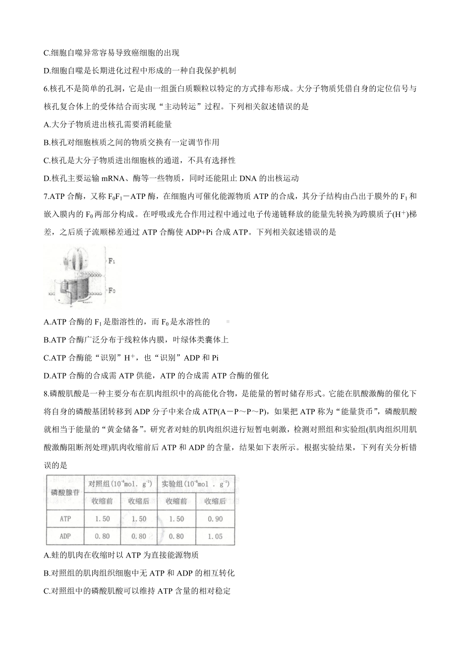 2021届山东省潍坊市五县市高三10月联考试题-生物.doc_第2页