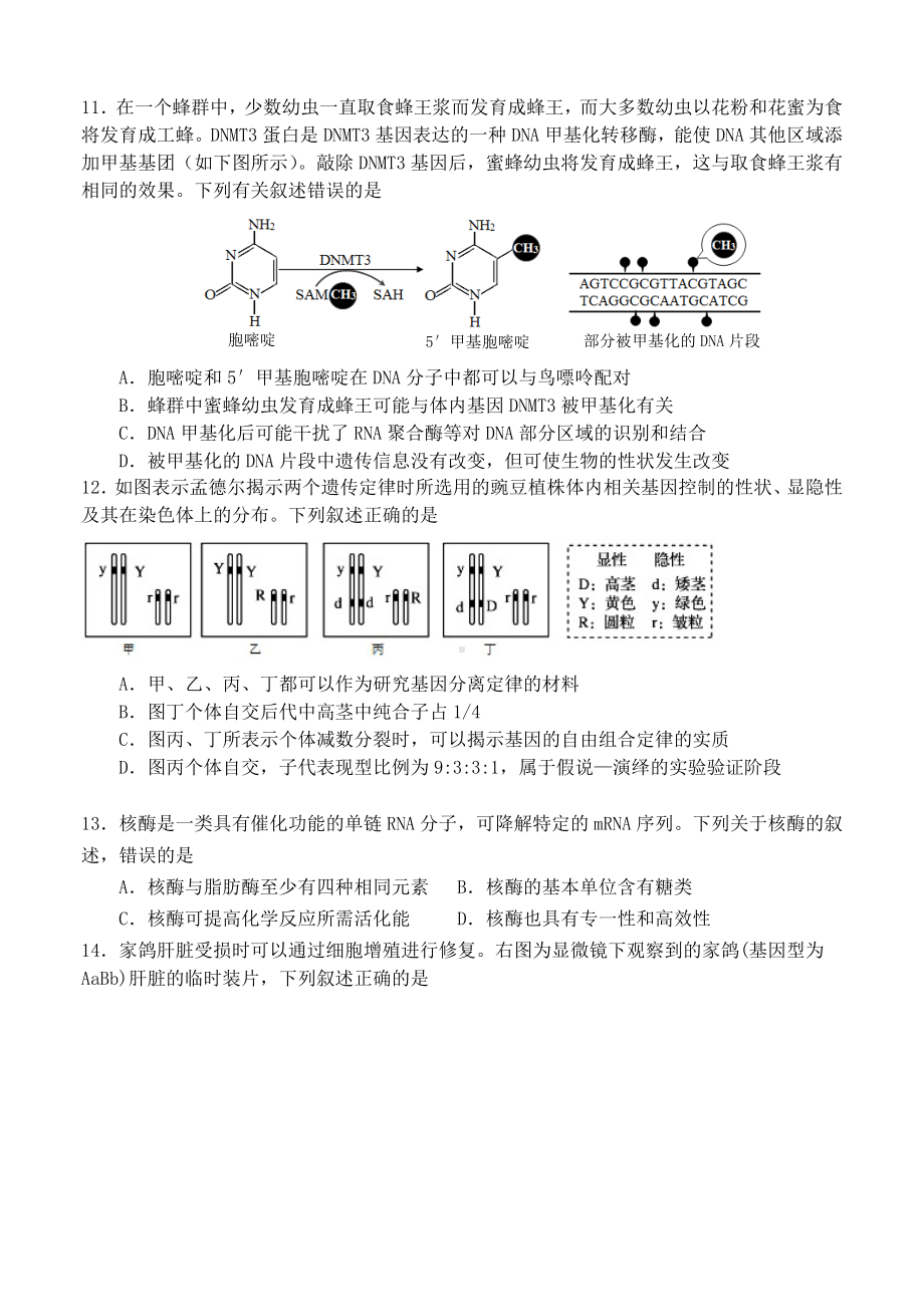 2021山东新高考生物学业水平等级考模拟附答案.doc_第3页