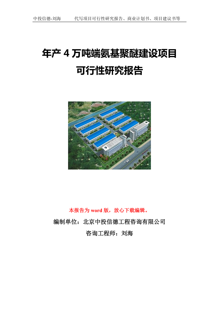 年产4万吨端氨基聚醚建设项目可行性研究报告写作模板立项备案文件.doc_第1页