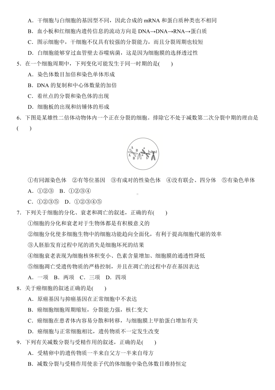 2021届新高考生物总复习单元巩固练-细胞的生命历程.doc_第2页