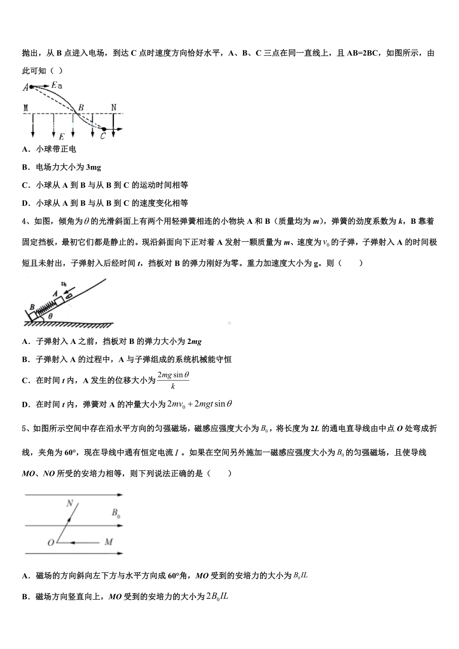 2023届上海市师大附中高中三年级学业水平考试物理试题.doc_第2页