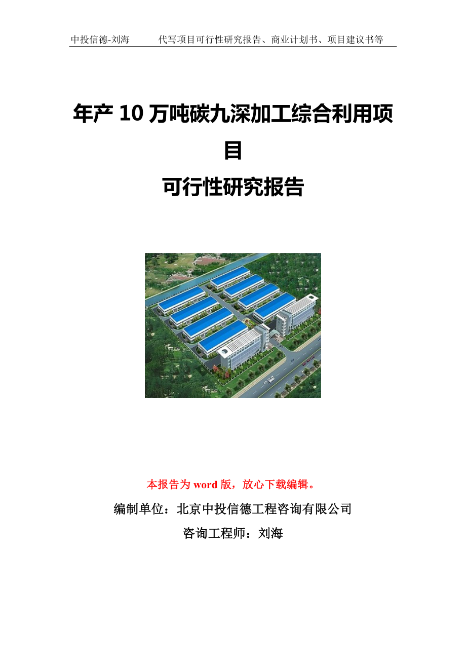 年产10万吨碳九深加工综合利用项目可行性研究报告写作模板立项备案文件.doc_第1页