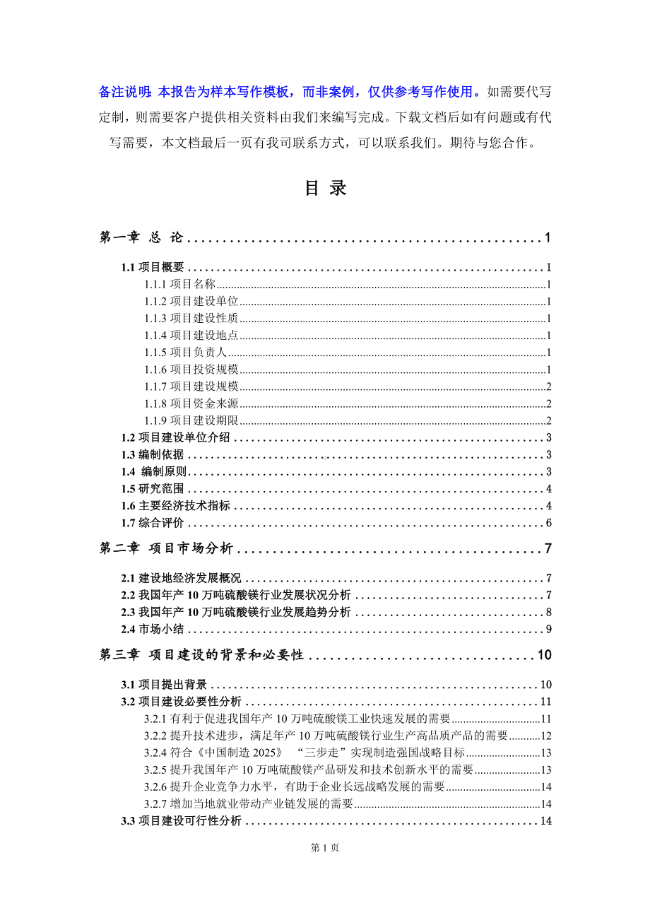 年产10万吨硫酸镁项目可行性研究报告写作模板立项备案文件.doc_第2页