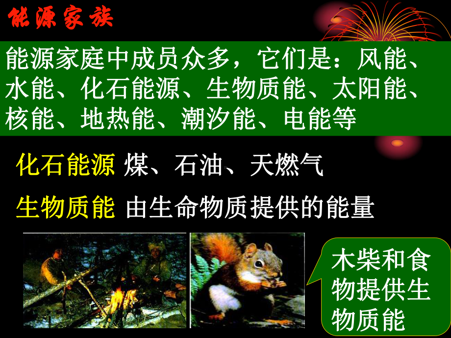 能源与可持续发展总复习(粤教版).ppt_第3页