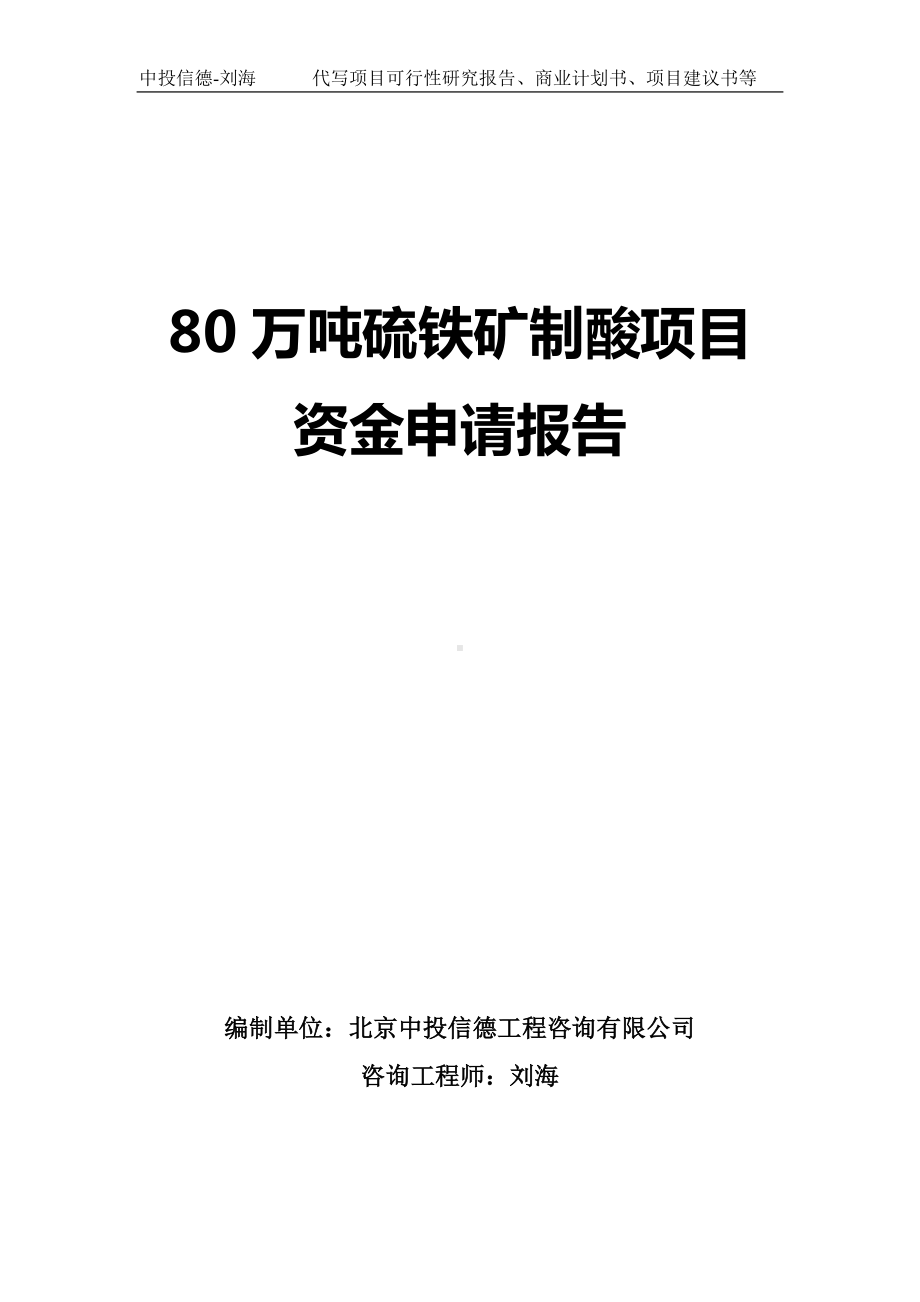 80万吨硫铁矿制酸项目资金申请报告写作模板.doc_第1页