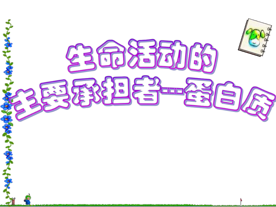 蛋白质的计算 .ppt_第1页