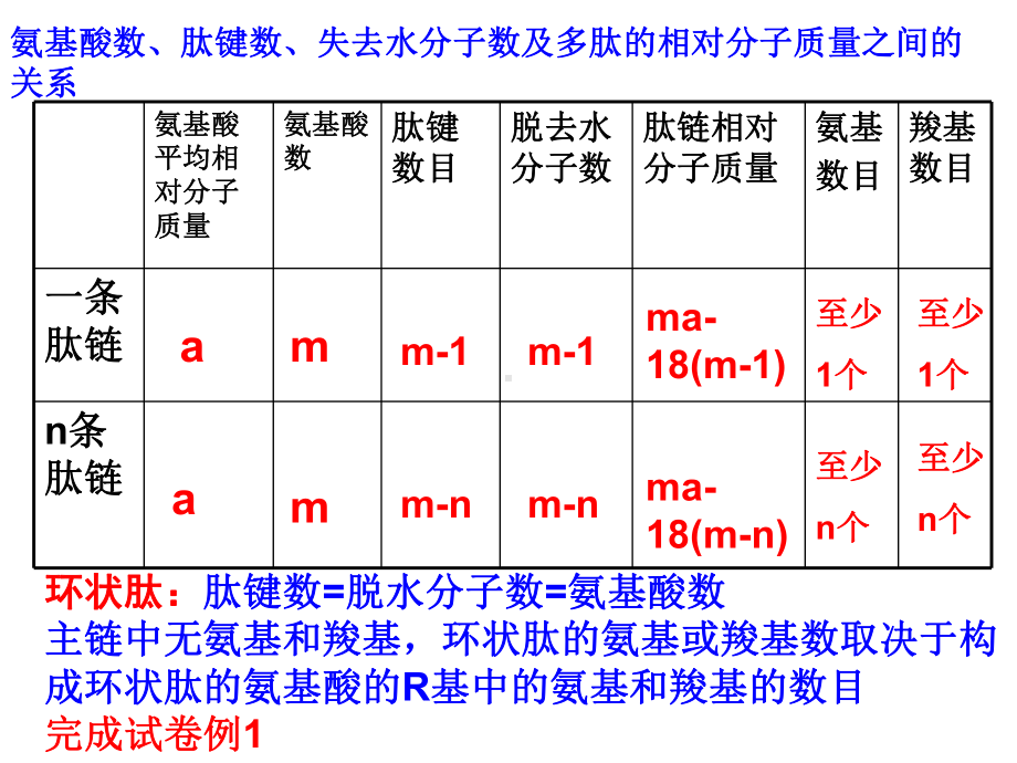 蛋白质的计算 .ppt_第2页