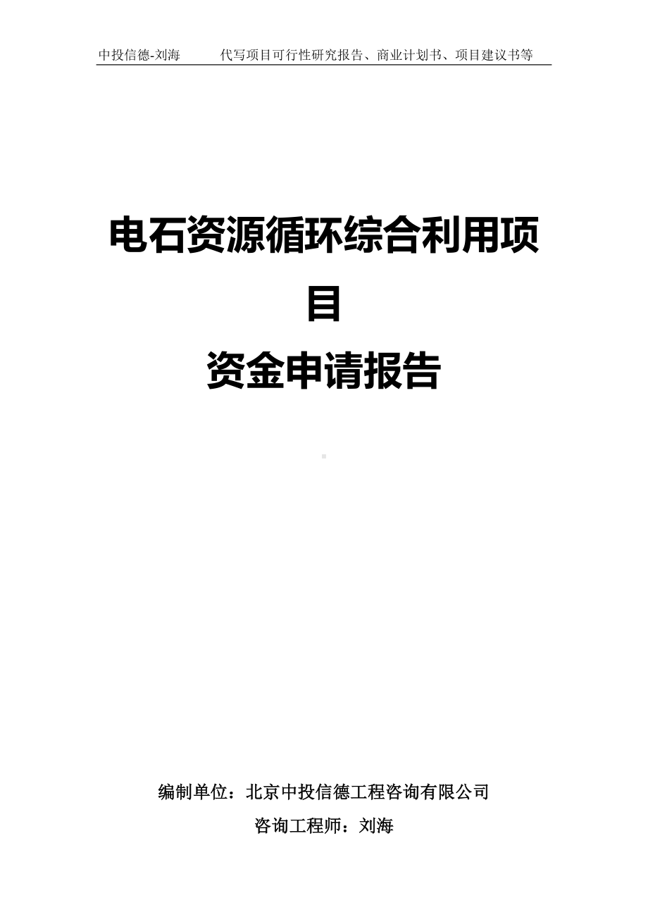 电石资源循环综合利用项目资金申请报告写作模板.doc_第1页