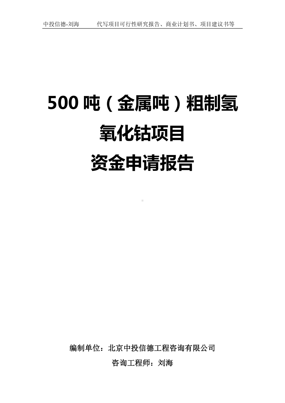 500吨（金属吨）粗制氢氧化钴项目资金申请报告写作模板.doc_第1页