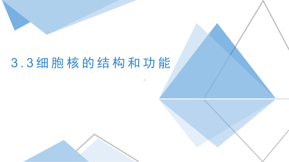 3.3 细胞核的结构和功能 ppt课件-2023新人教版（2019）必修第一册.pptx_第1页