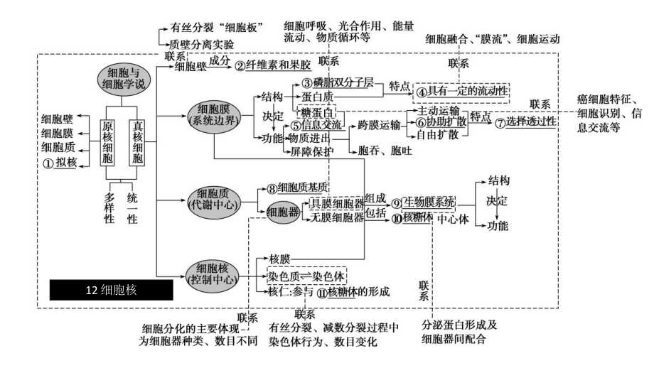 二轮复习 ppt课件02 细胞骨架 细胞的基本结构物质的输入和输出-2023新人教版（2019）必修第一册.pptx_第1页