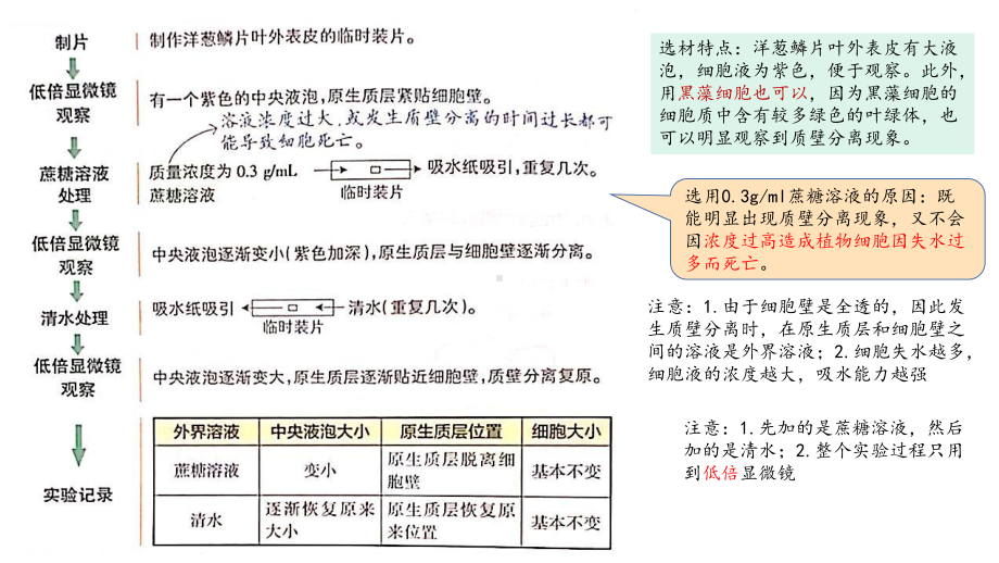 二轮复习 ppt课件02 细胞骨架 细胞的基本结构物质的输入和输出-2023新人教版（2019）必修第一册.pptx_第3页